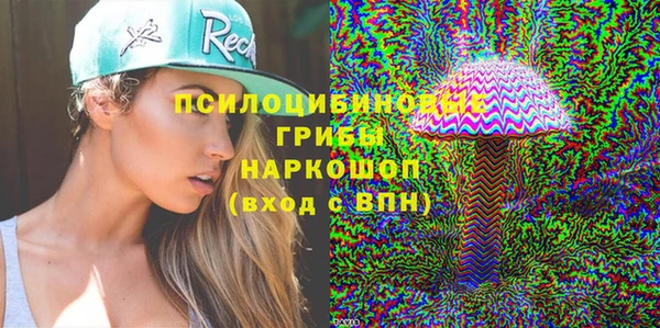 соль ск Елабуга