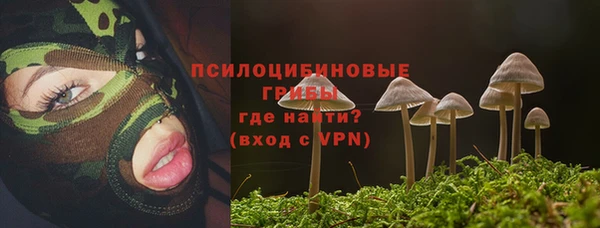 MDMA Заводоуковск