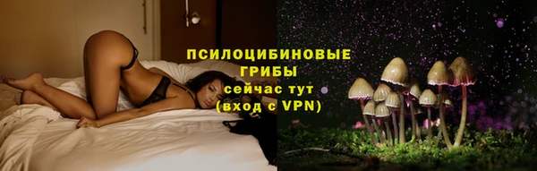 соль ск Елабуга