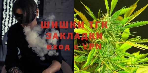 Альфа ПВП Ельня