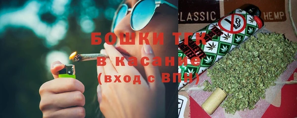 Альфа ПВП Ельня