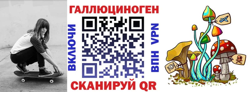 как найти наркотики  Иваново  Псилоцибиновые грибы Psilocybine cubensis 