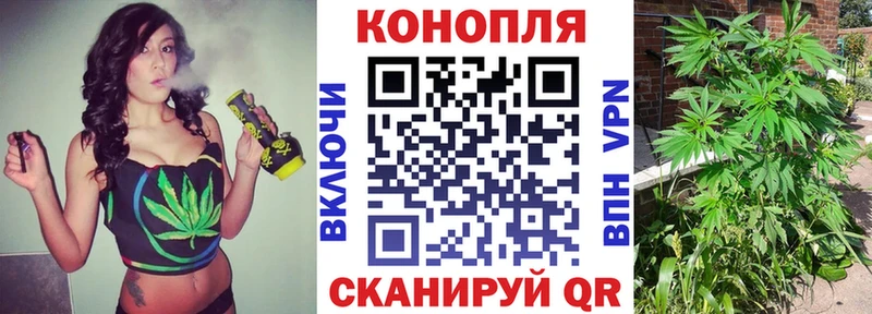 где найти Иваново Канабис тримм
